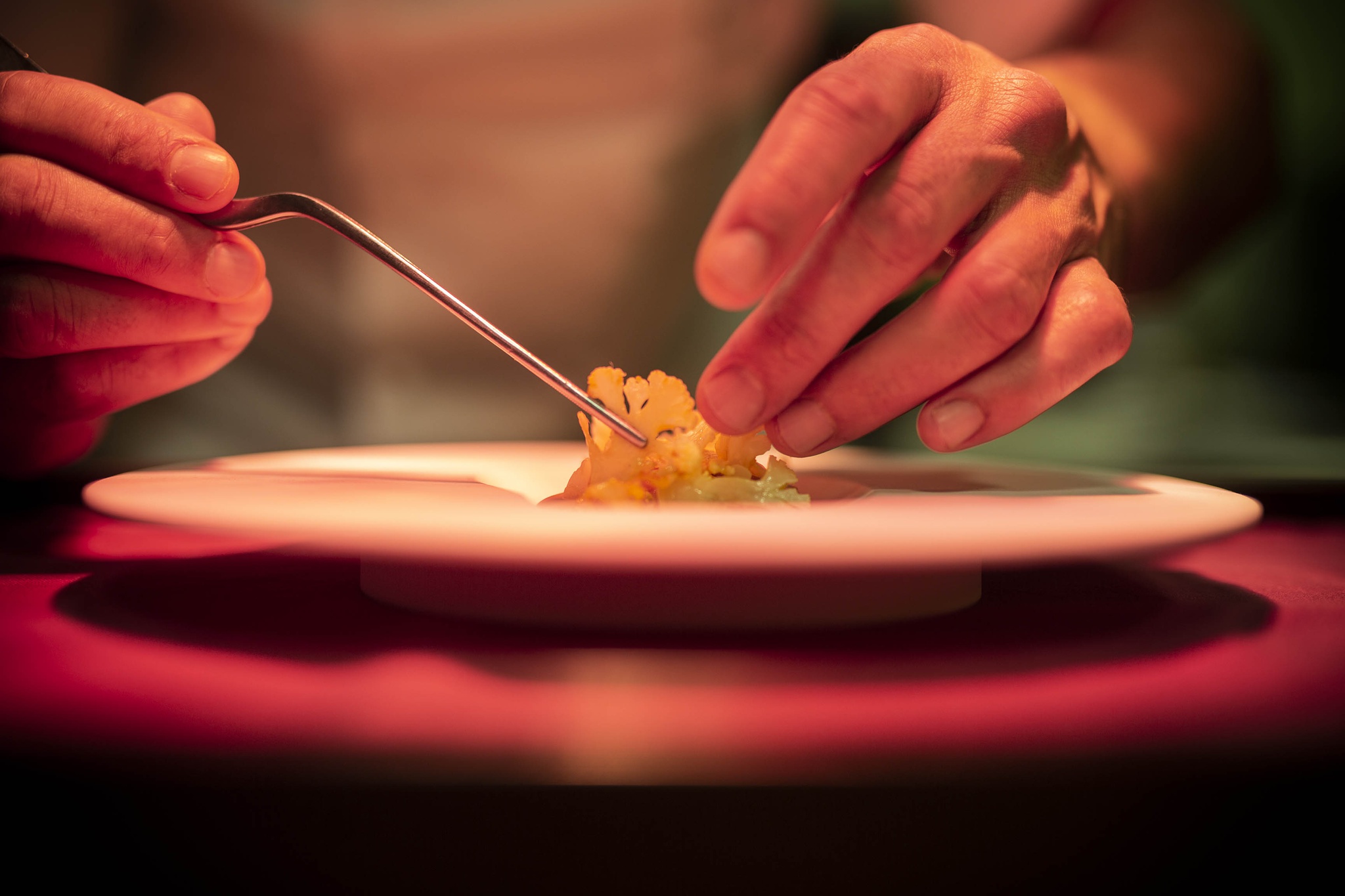 Vêm aí as 7 Maravilhas da Nova Gastronomia de Portugal para “valorizar” a restauração